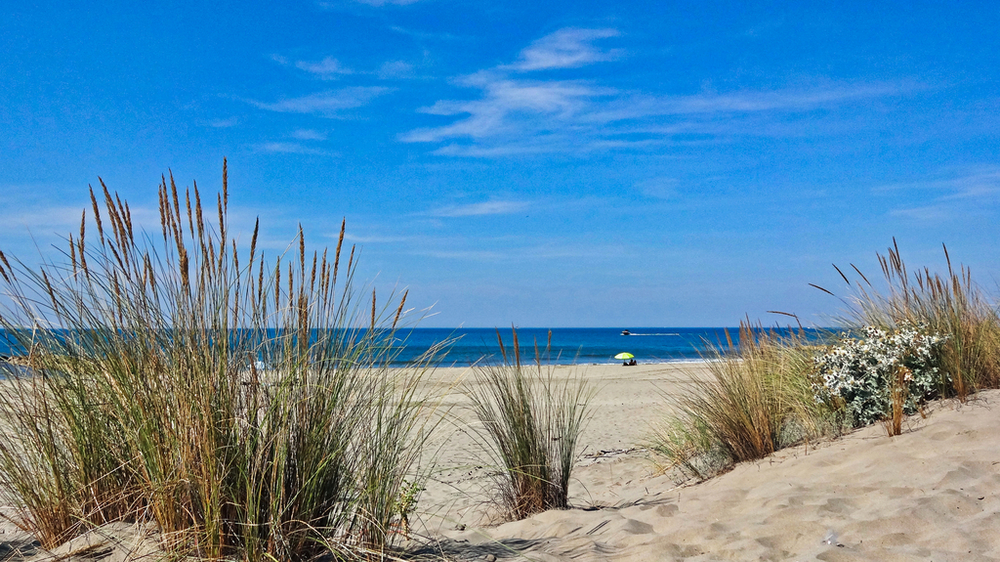 Plage de la Méditerranée