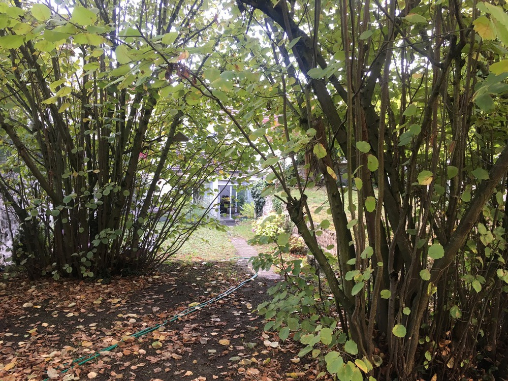 Notre jardin à l'automne 