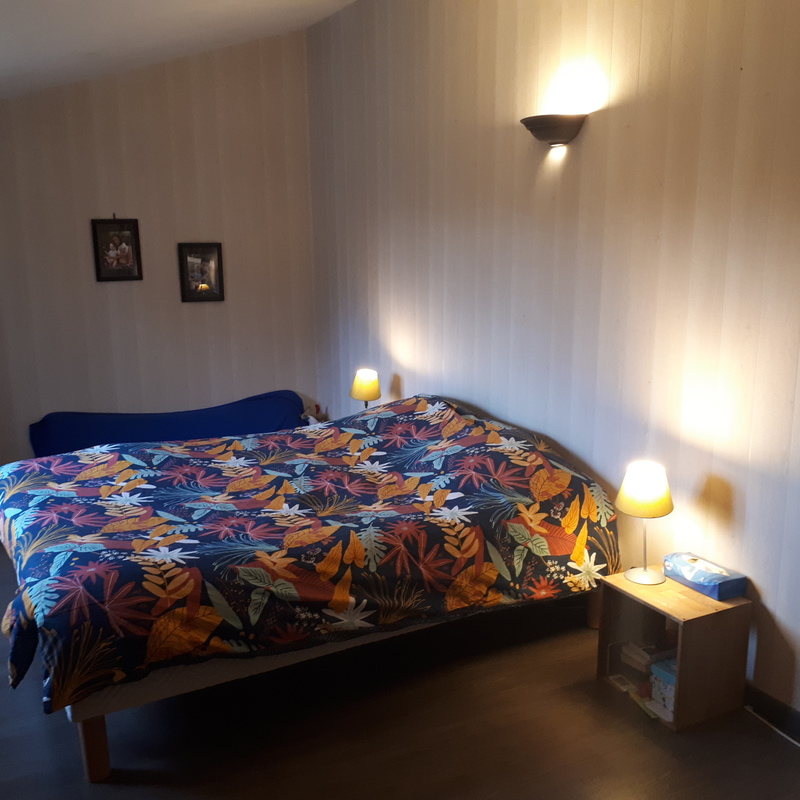 Une chambre avec 1 lit 2 places
