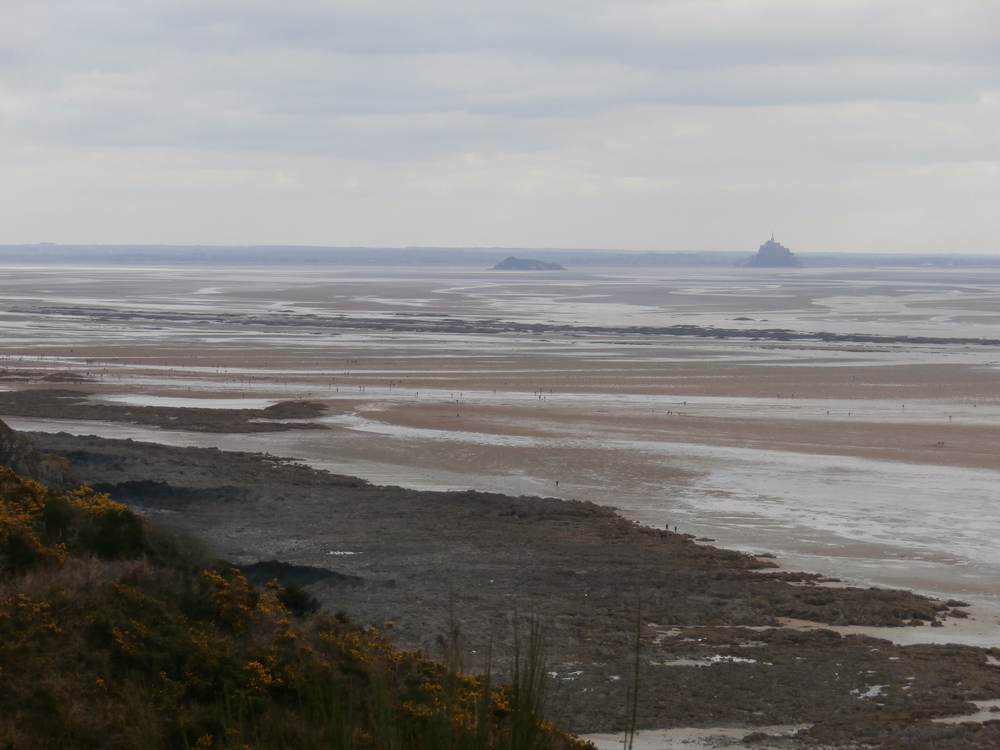 Vue sur la Baie depuis le sentier des douaniers (à 10 minutes)