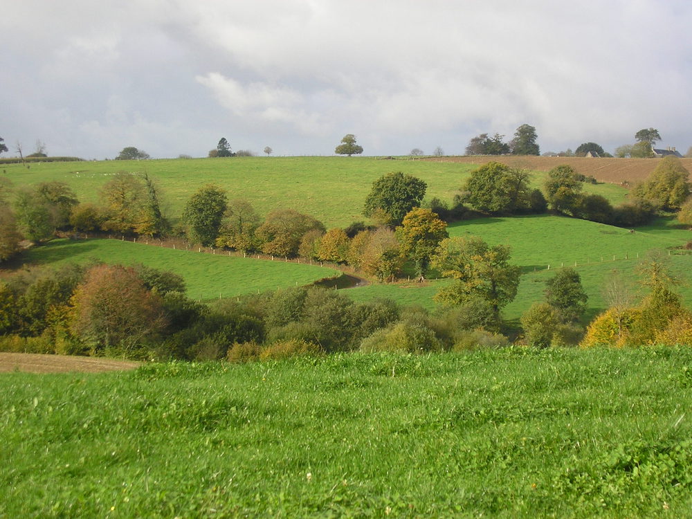 le bocage normand
