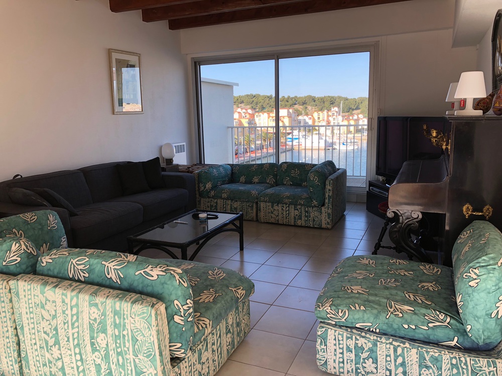 Salon avec une baie vitrée sur le port, et une autre sur la terrasse sur le toit, TV