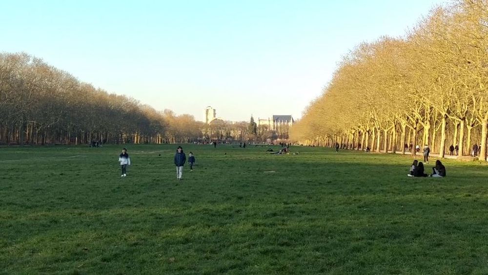 Le bois de Vincennes