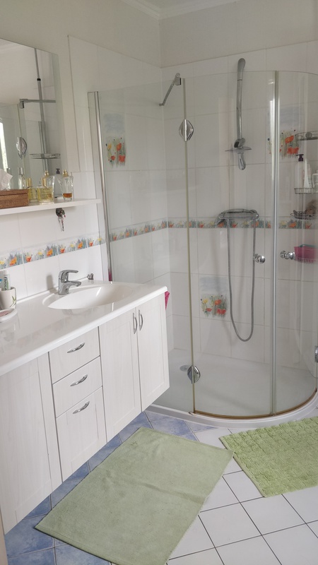 salle de douche Rdc