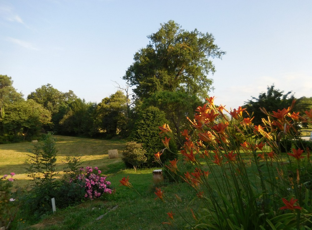 Jardin avec notre chêne centenaire Ouest