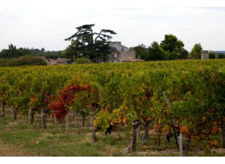 Vue sur Château environnant 