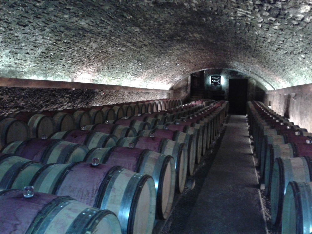 Visites de cave 