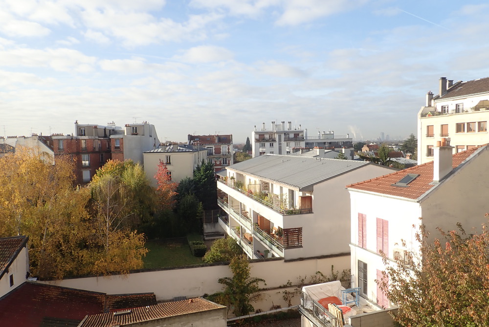 la vue depuis le salon