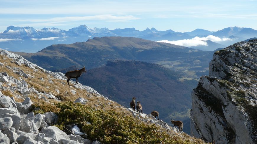 Massif du Vercors haut lieu de la résistance.