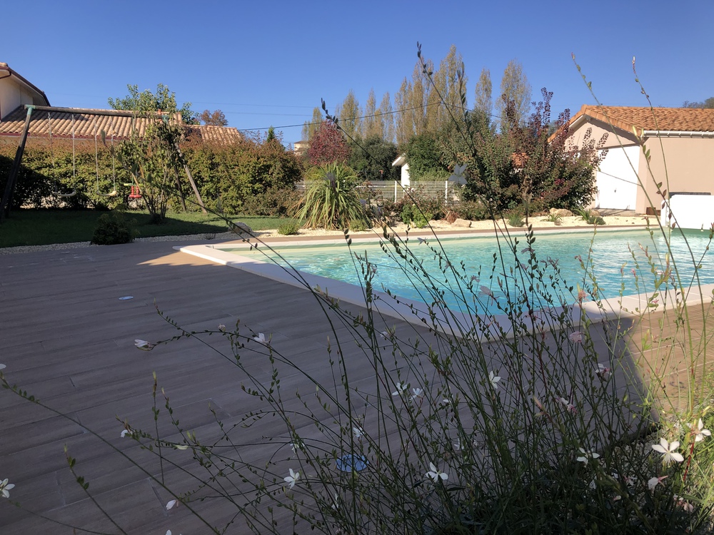 Piscine vue de la terrasse 