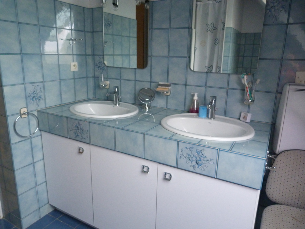 salle de bains, deux vasques, douche et baignoire.