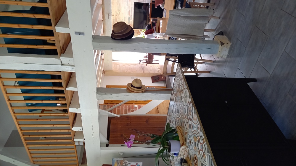 grande salle style loft salon vu de la cuisine 