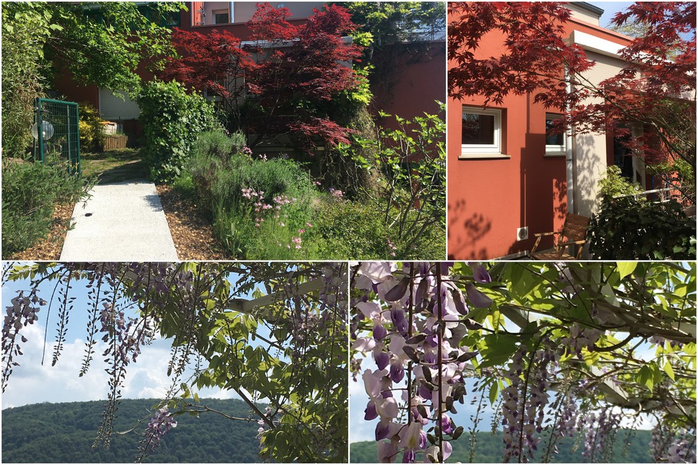 accès, entrée, jardin.
