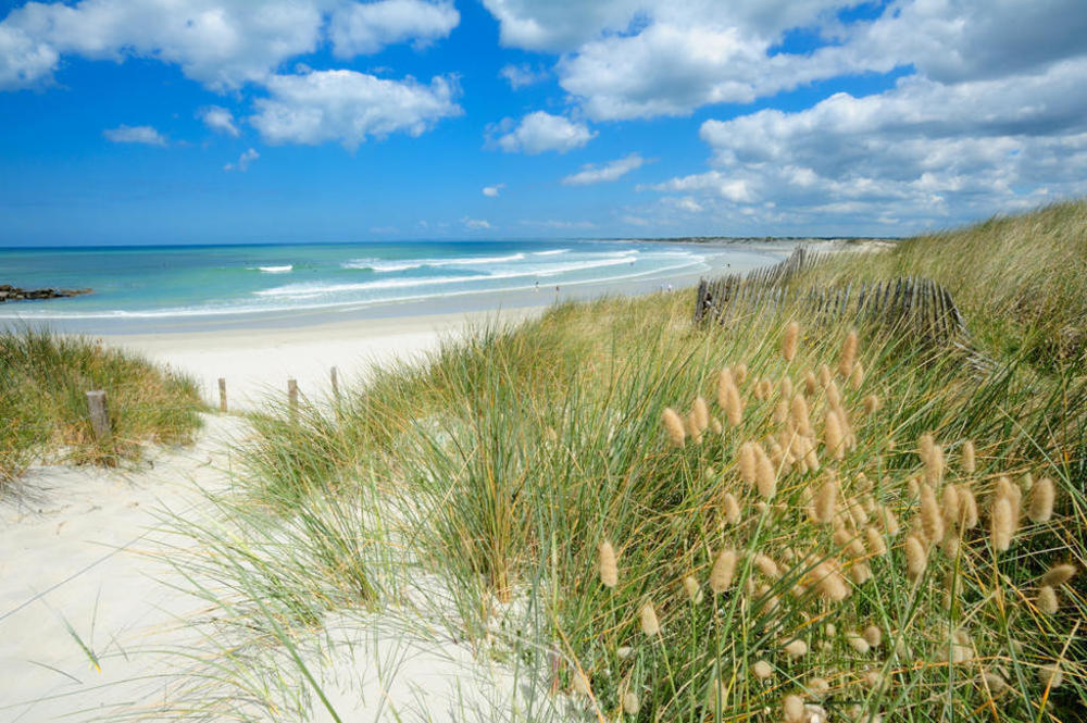 La Torche 