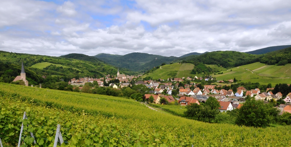 Vue du village depuis les vignes