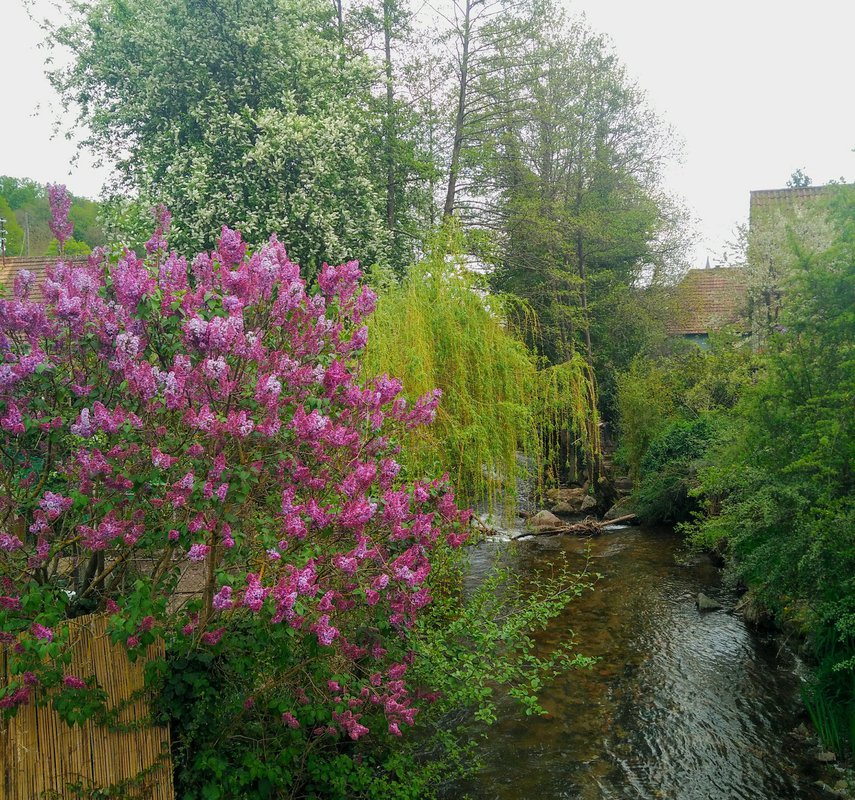 rivière l'Andlau qui traverse le village