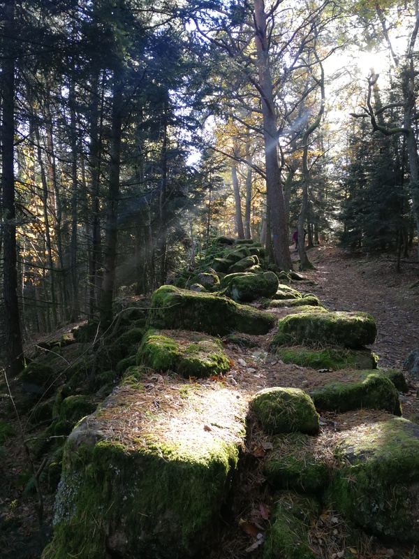 Le mur païen, au Mont Saint Odile