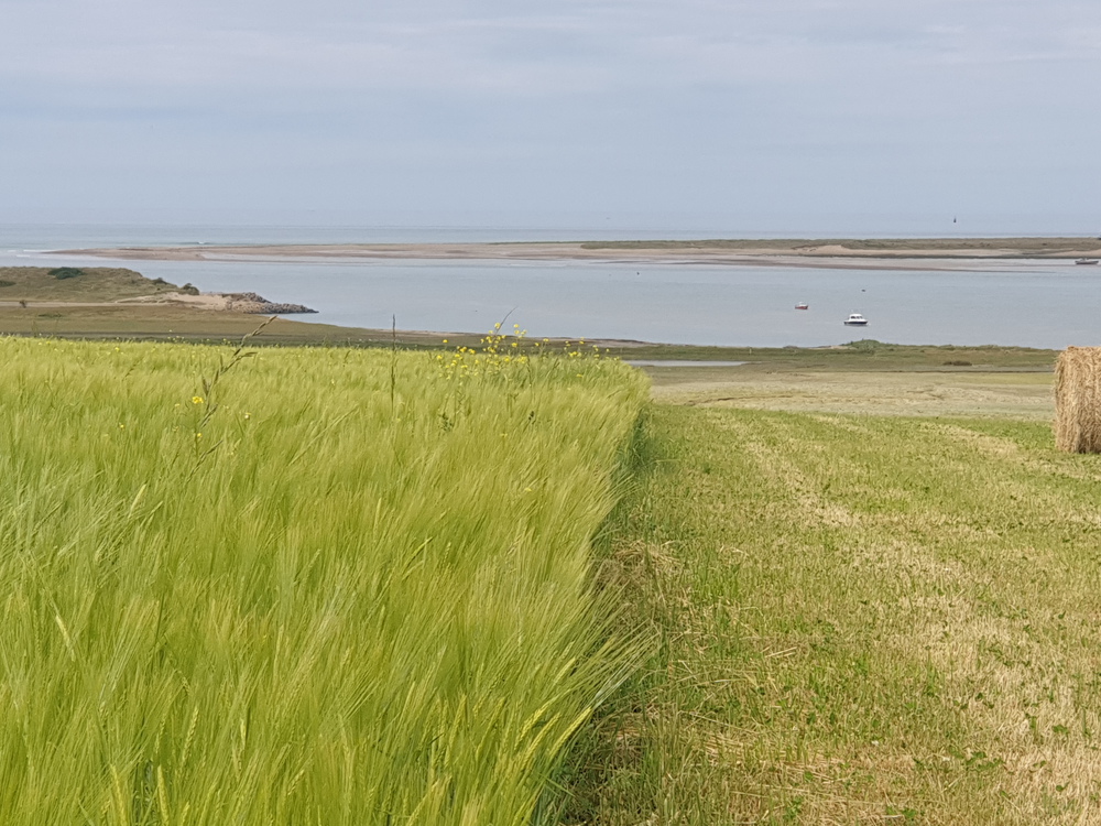 Baie de régnéville sur mer