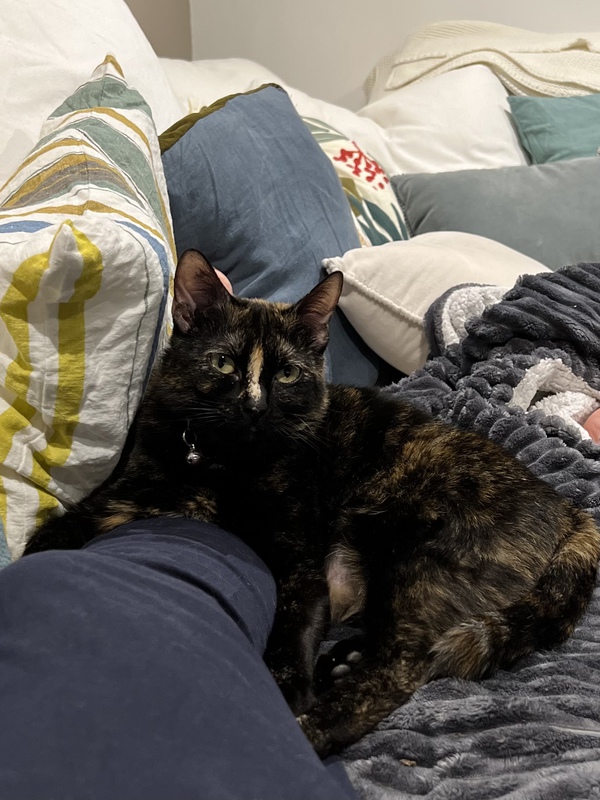 Slice, la fille d'Artémis, elle vous adoptera si vous la nourrissez 
