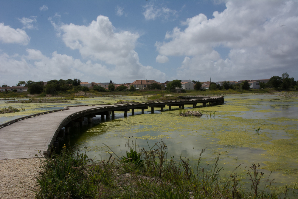 marais Tasdon