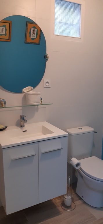 salle d'eau/douche et WC 