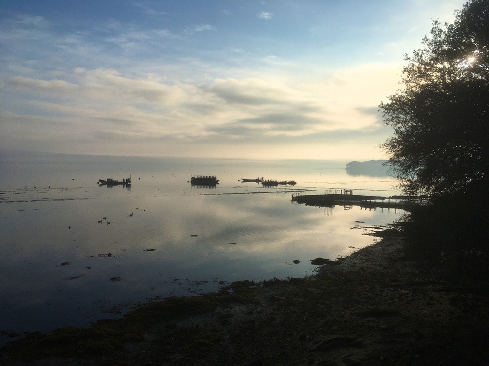 vue sur le golfe et la réserve (à pied depuis la maison)