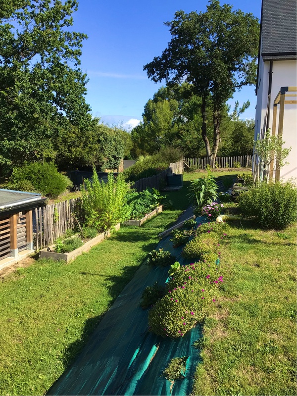 coin potager