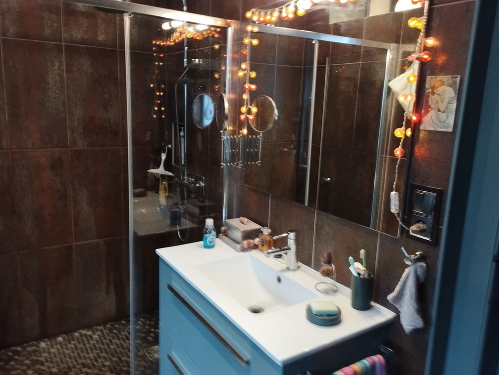 Salle de Bain Rez de Chaussée 