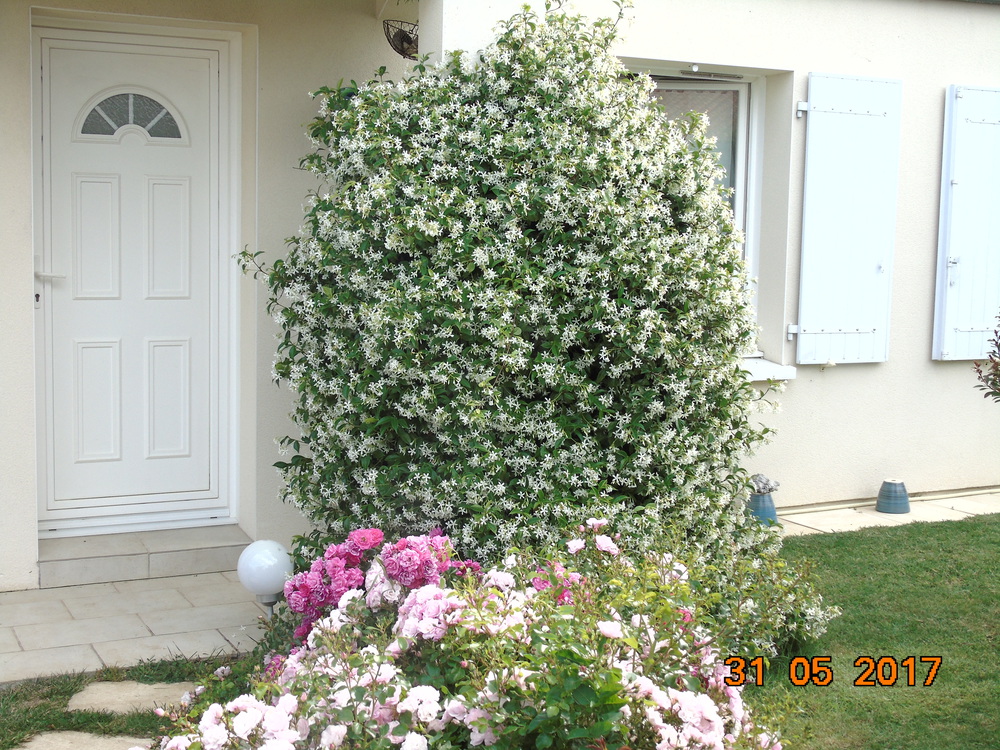 JARDIN Cote ENTREE